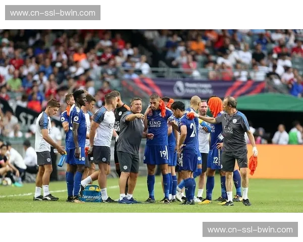 富勒姆伤病情况大幅好转 球队阵容完整性英超前列